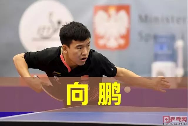 尽管在纸面
