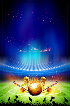 成都世运会 成都世运会