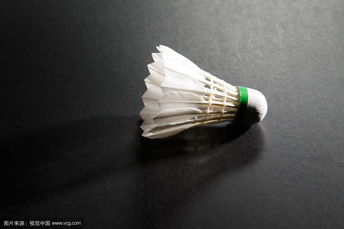 排提供了更 排提供了更